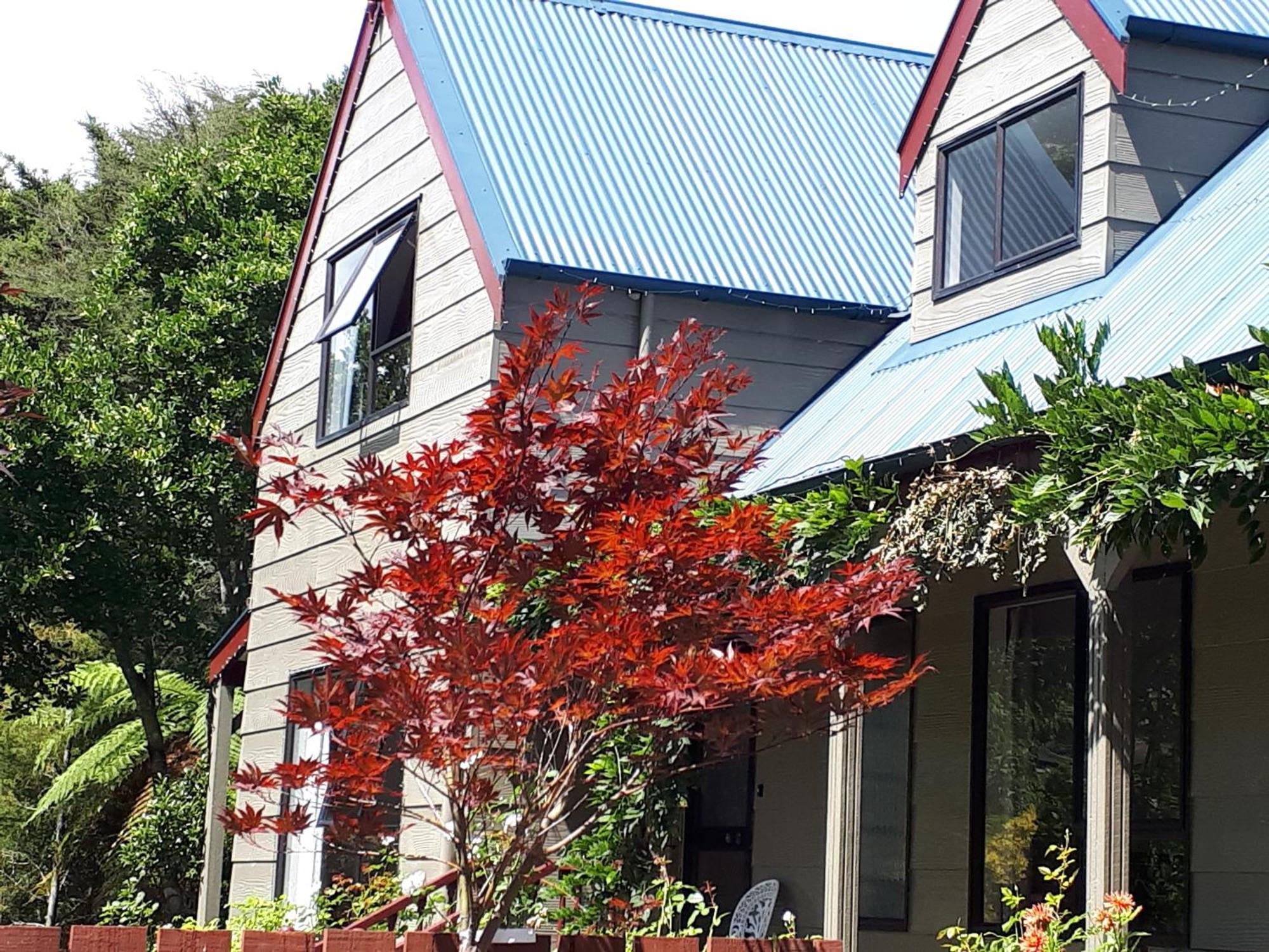Rangaroa Heights Bed and Breakfast Taumarunui Eksteriør billede